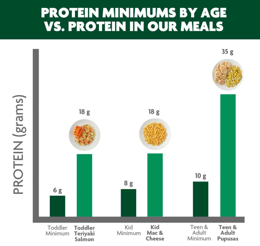 protein comparison in meals